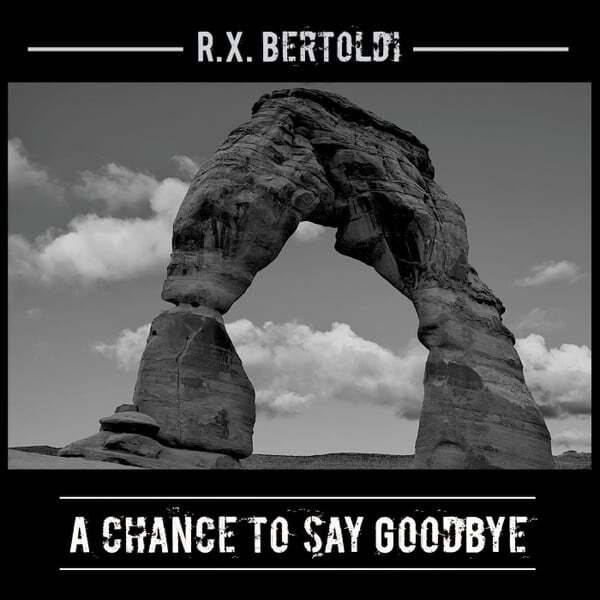 Cover art for A Chance to Say Goodbye